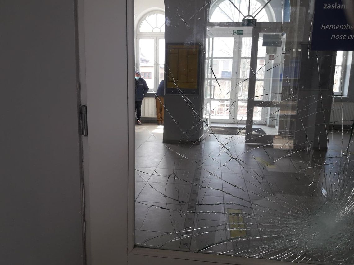 Bezdomni zmienili miejsce. Fatalna wizytówka Gryfina