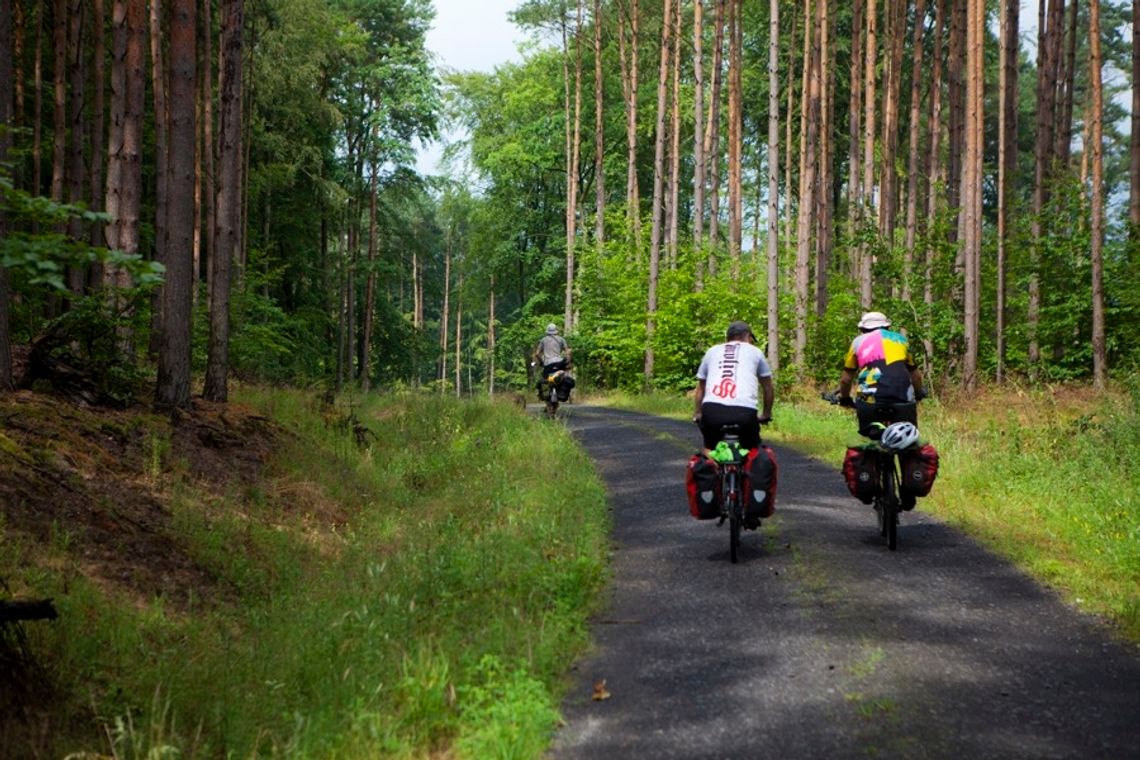 Bezpieczeństwo na szlaku rowerowym Gryfino-Szczawno - odpowiedź pełnomocnika marszałka