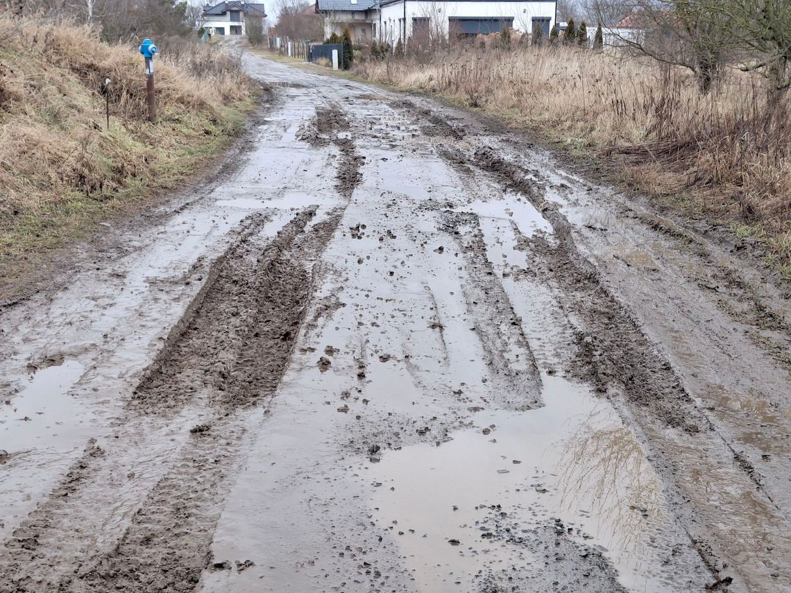Błotna pułapka w Gryfinie. „Tu nie dojedzie nawet karetka!” Błotna pułapka w Gryfinie. „Tu nie dojedzie nawet karetka!”