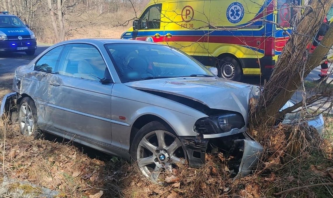 BMW i bezsensowna brawury. Finał jazdy na drzewie
