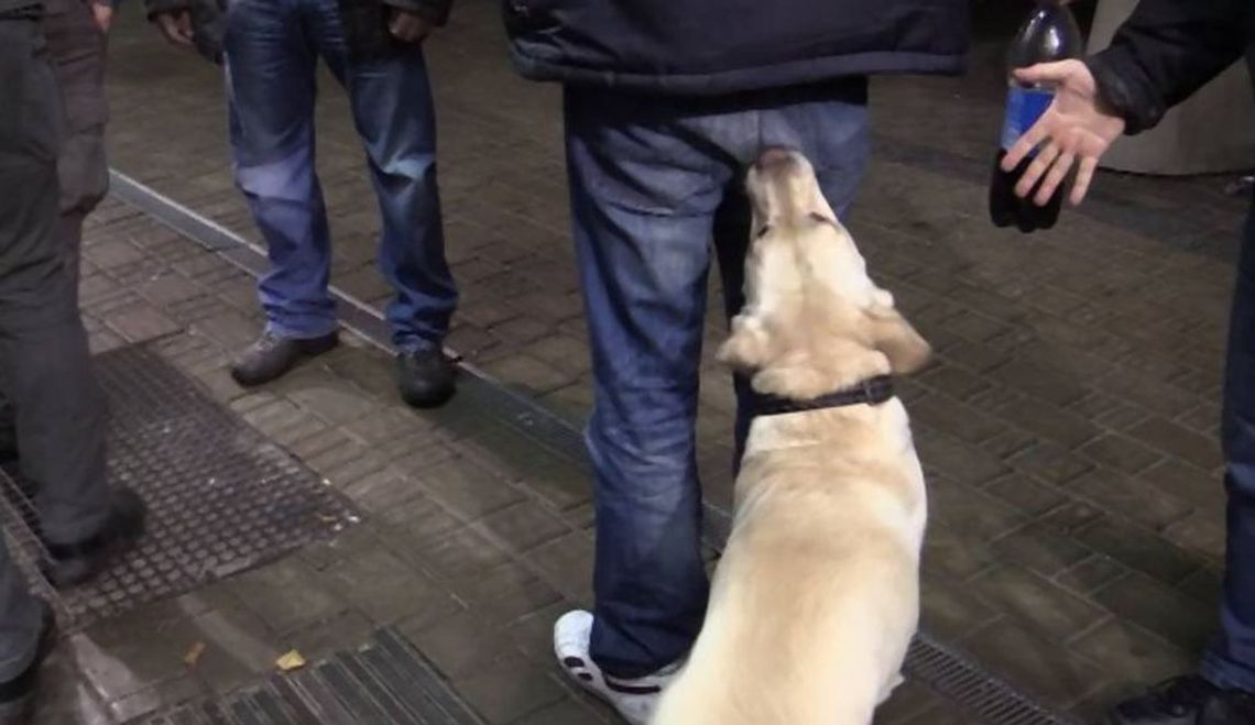 Brawurowa akcja policji w centrum Gryfina. Diler narkotykowy zatrzymany 