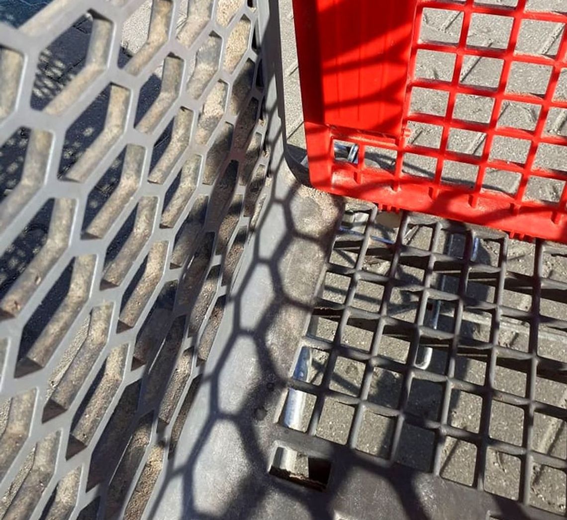 Brudne wózki w sklepie Intermarche Brudne wózki w sklepie Intermarche