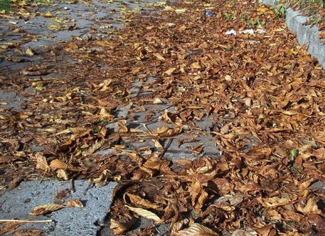 Brudno jest w mieście Brudno jest w mieście