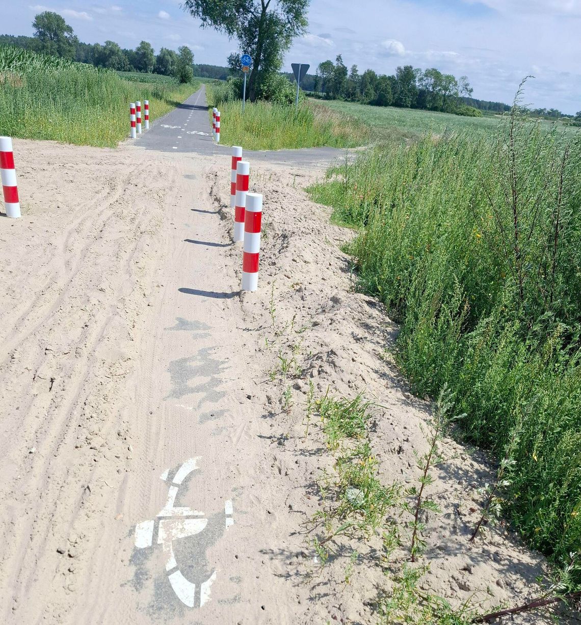 Bubel zamiast atrakcji? Nowa ścieżka rowerowa tonie w piachu i dwumetrowych ostach Bubel zamiast atrakcji? Nowa ścieżka rowerowa tonie w piachu i dwumetrowych ostach