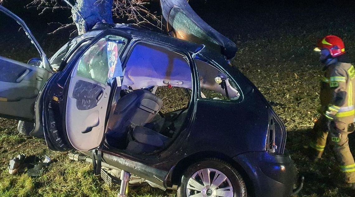 Była tak pijana, że uderzyła w drzewo Była tak pijana, że uderzyła w drzewo