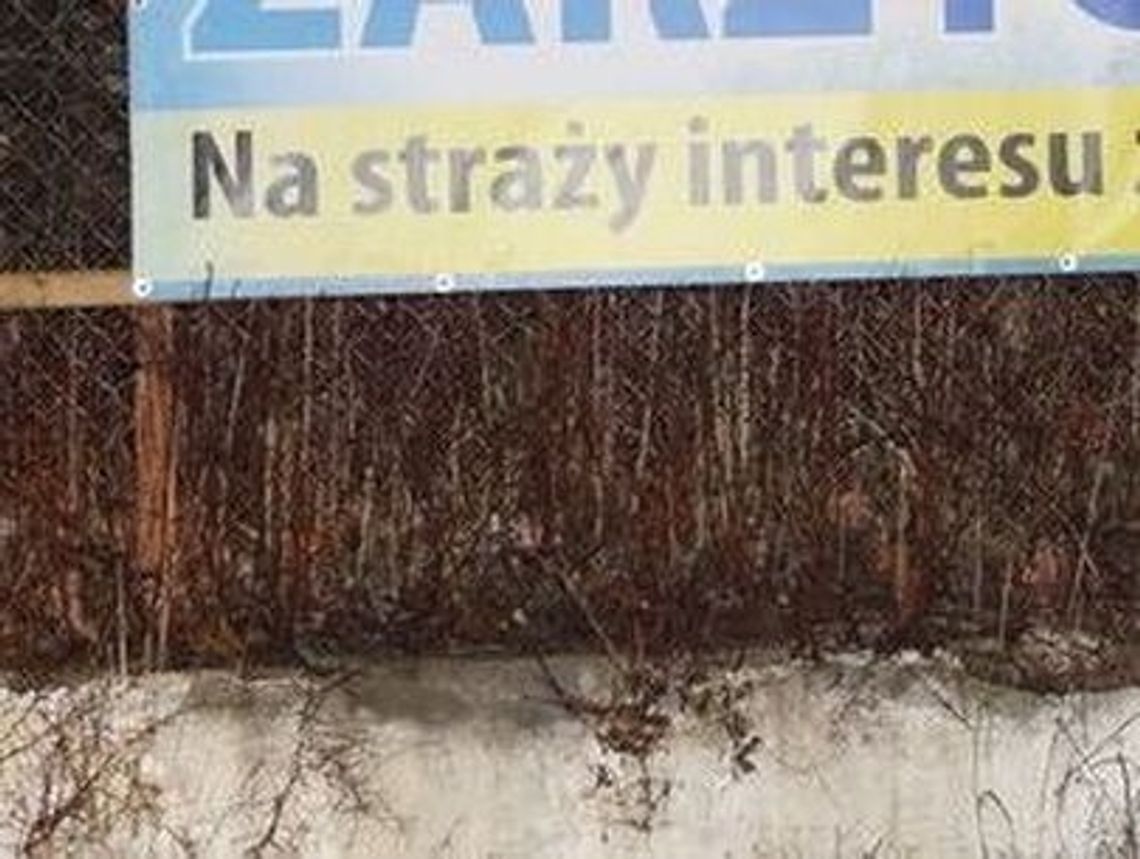 Były burmistrz usłyszał wyrok Były burmistrz usłyszał wyrok