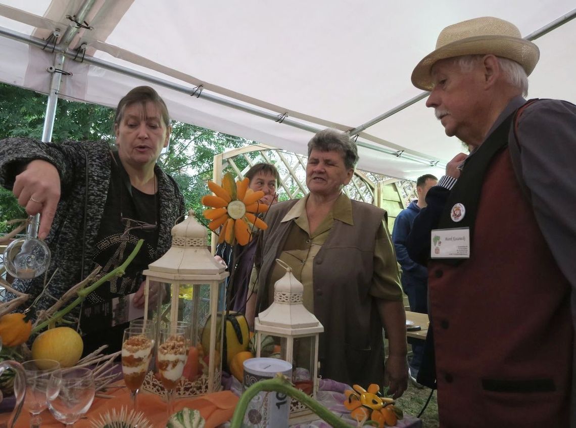 CeDynia próbuje promować dynię CeDynia próbuje promować dynię