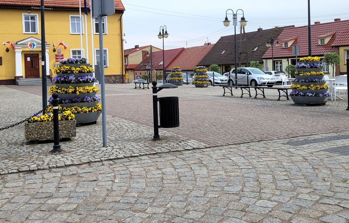 Centrum miasta tonie w kwiatach