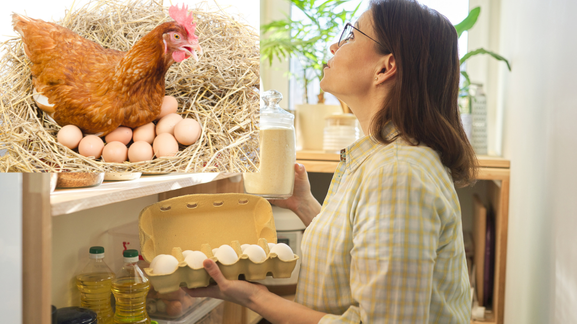 Jaja są coraz droższe, a ceny raczej nie spadną? Jakie są przyczyny zwyżki i czy jajek nie zabraknie