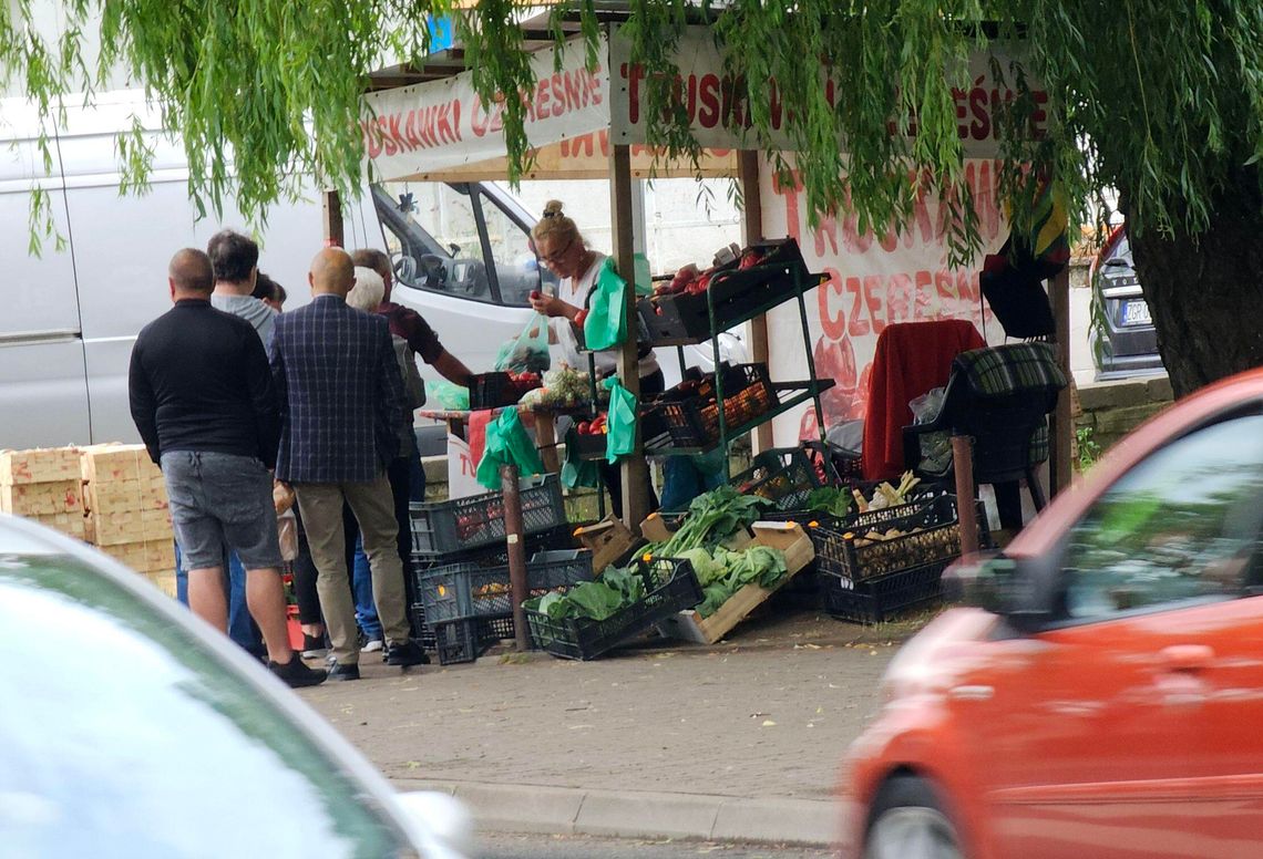 Ceny truskawek i czereśni w Gryfinie idą w dół! Ile zapłacimy za sezonowe przysmaki? Ceny truskawek i czereśni w Gryfinie idą w dół! Ile zapłacimy za sezonowe przysmaki?