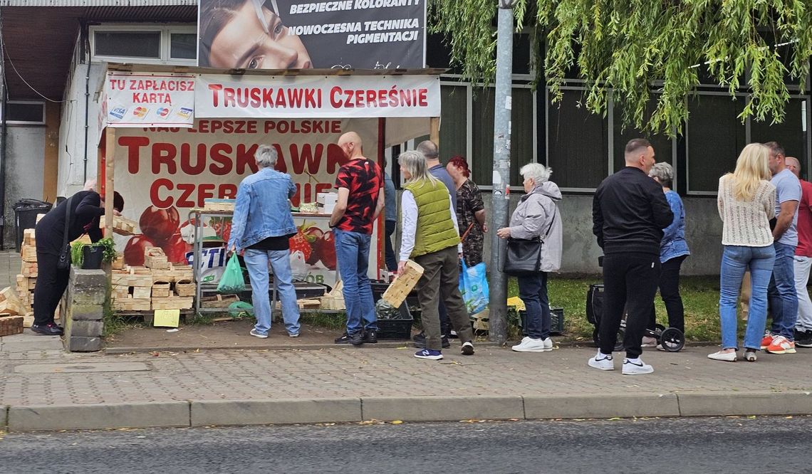 Ceny truskawek nie spadają. Dlaczego?