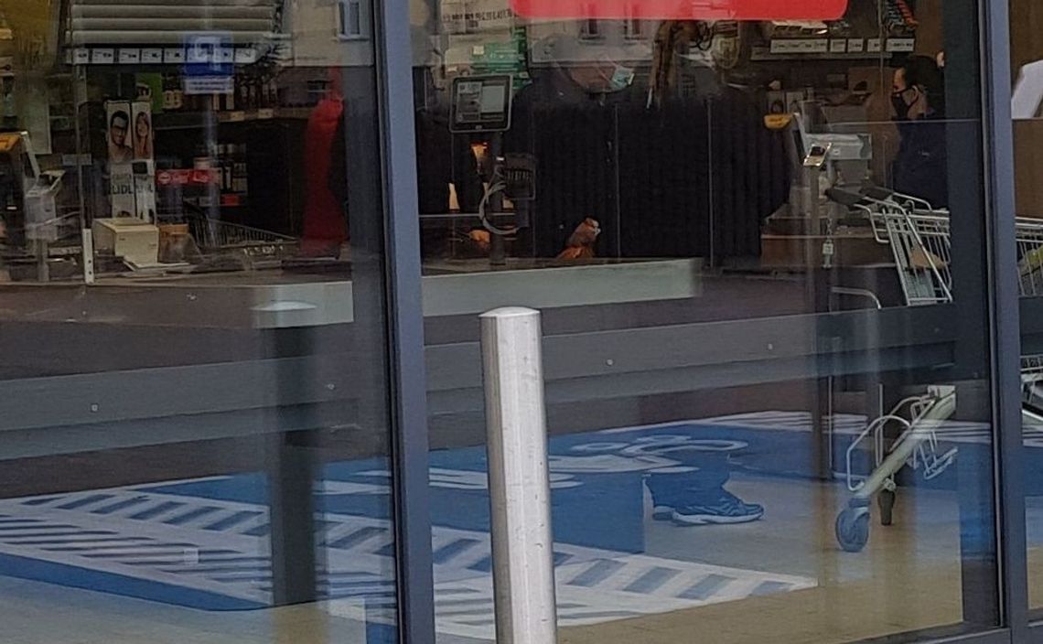 Chcę zwrócić uwagę na traktowanie w sklepie – pisze czytelnik Chcę zwrócić uwagę na traktowanie w sklepie – pisze czytelnik