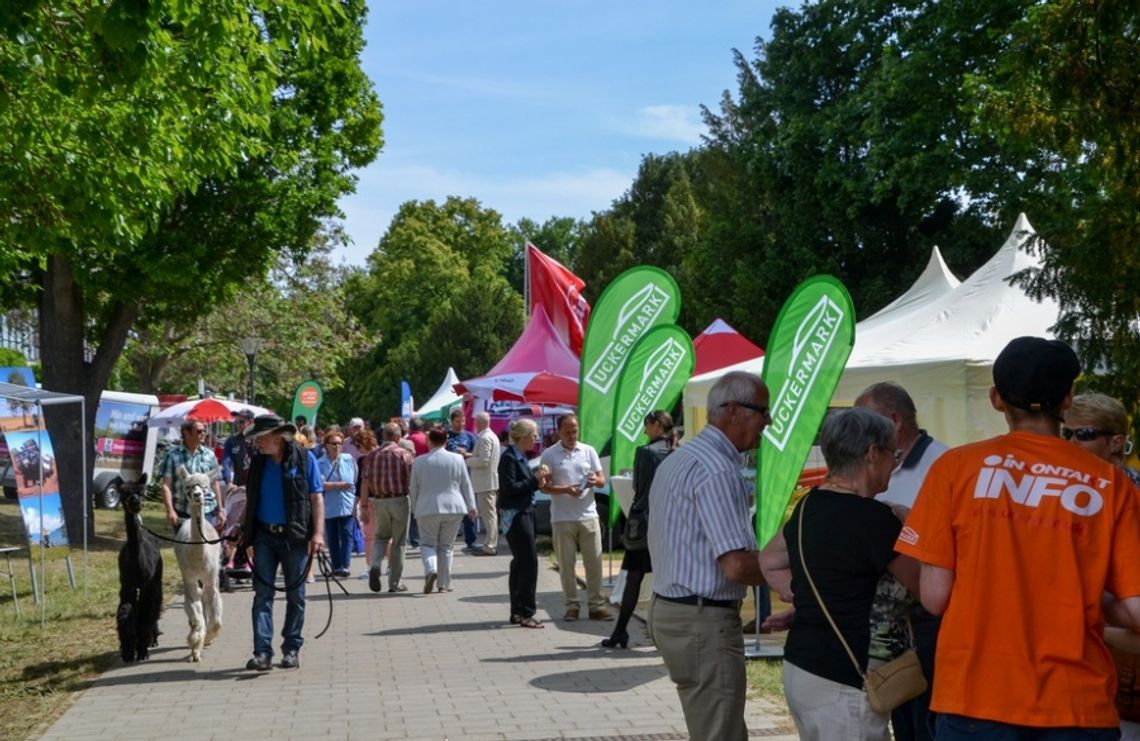 Chcesz jechać na targi Inkontakt? Chcesz jechać na targi Inkontakt?