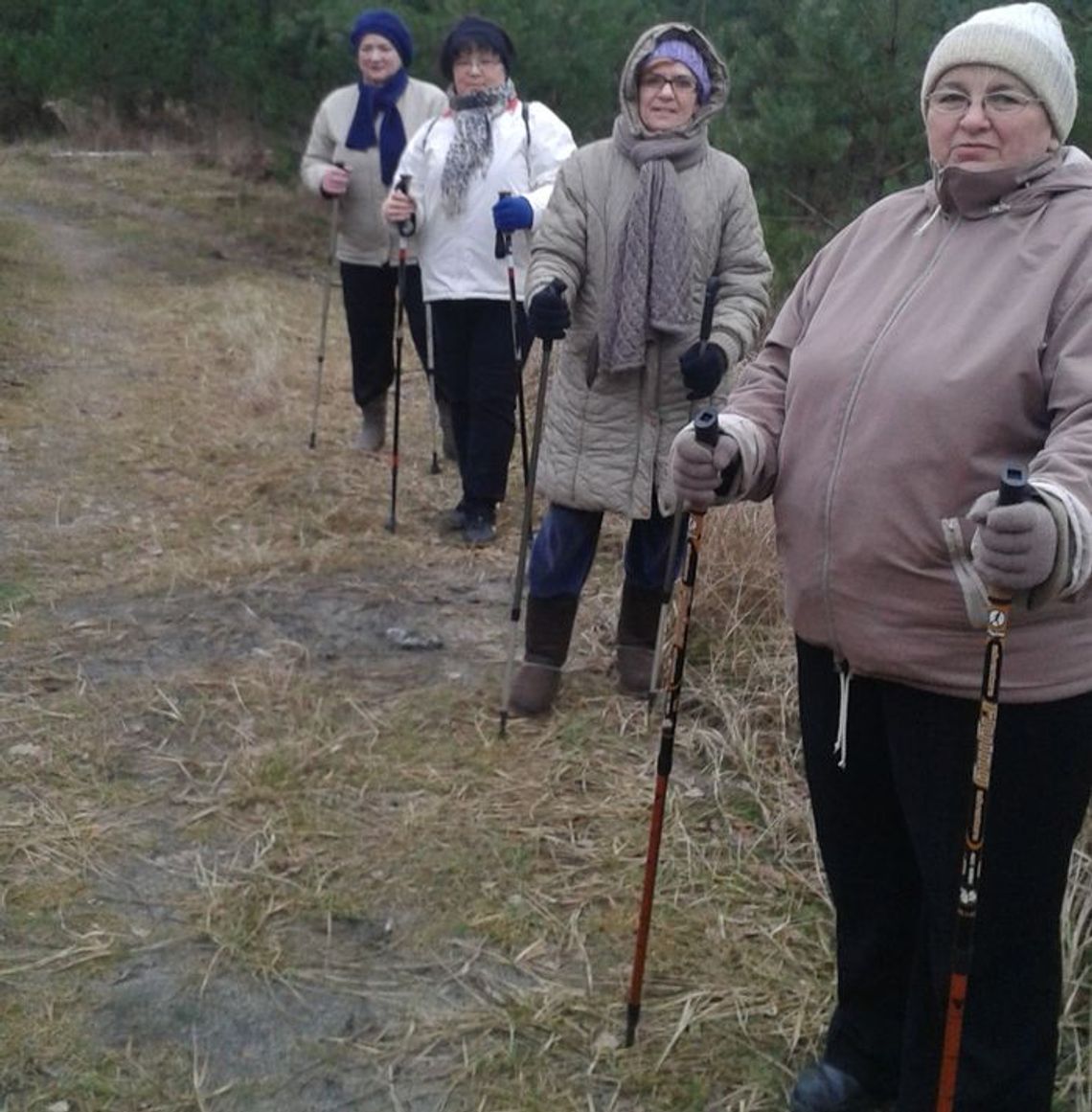 Chodząc z kijkami fotografują