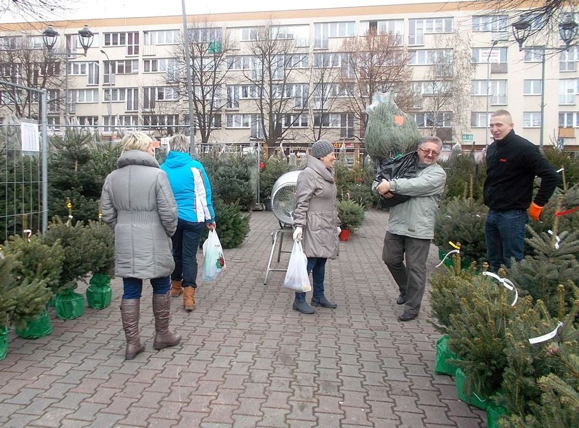 Choinkowo na placu Barnima Choinkowo na placu Barnima