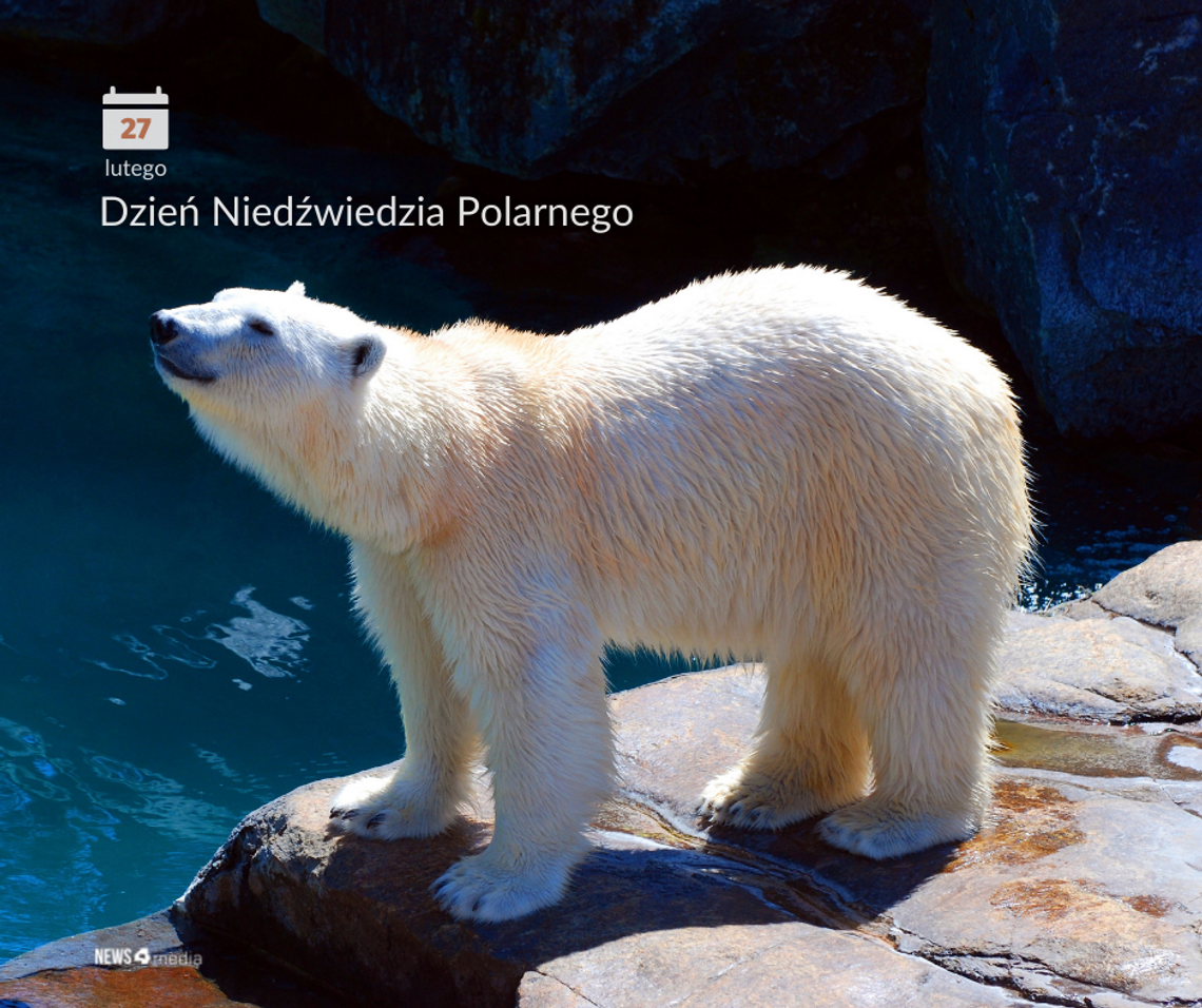 Chrońmy to, co może zaraz zniknąć