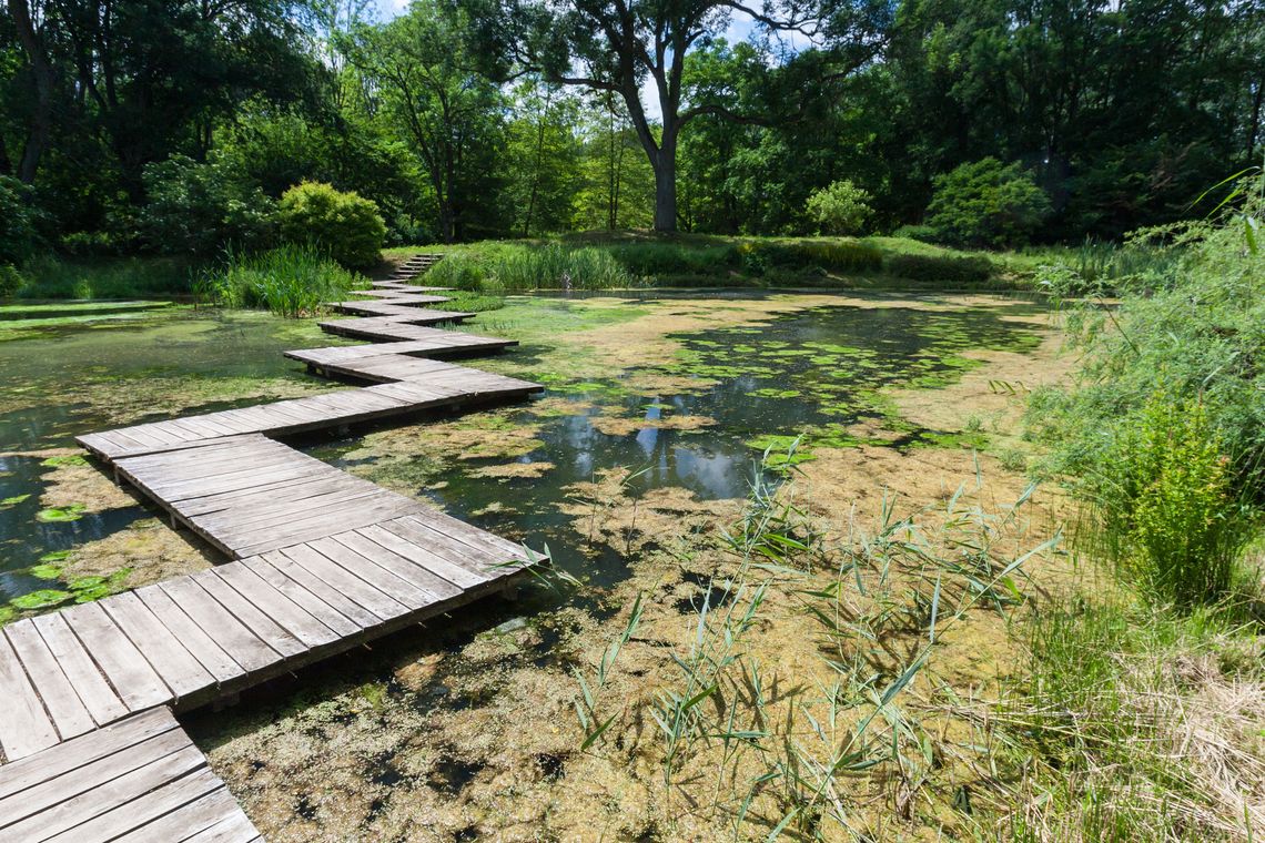 Ciągle zainteresowani rozwojem Ogrodu Dendrologicznego w Przelewicach Ciągle zainteresowani rozwojem Ogrodu Dendrologicznego w Przelewicach