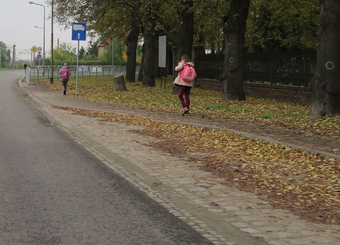 Co autor miał na myśli, stawiając barierki