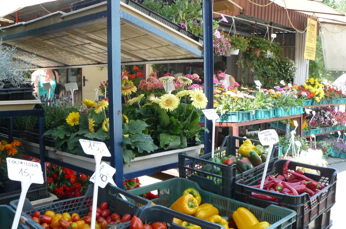 Co, gdzie i po ile, czyli owocowo-warzywna porównywarka cen Co, gdzie i po ile, czyli owocowo-warzywna porównywarka cen