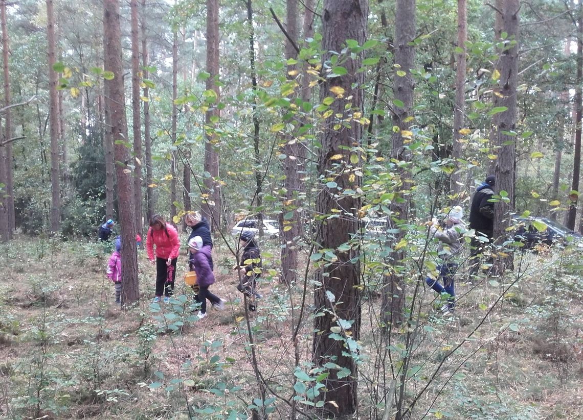 Co robiła 3-latka i nastolatkowie w lesie Co robiła 3-latka i nastolatkowie w lesie