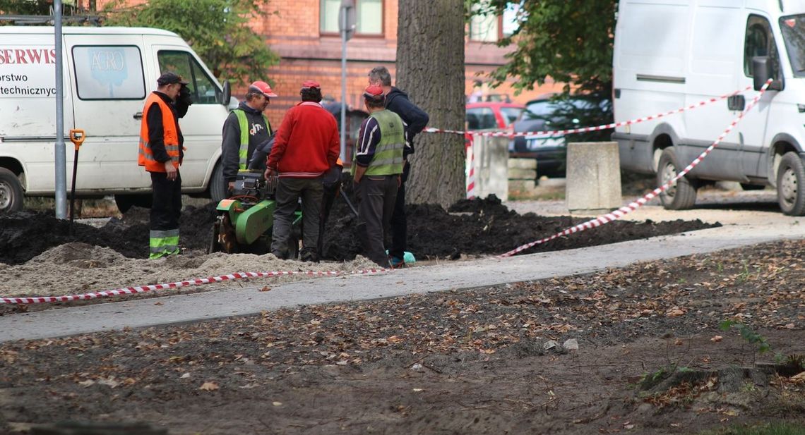 Co tak śmierdzi w parku? Co tak śmierdzi w parku?