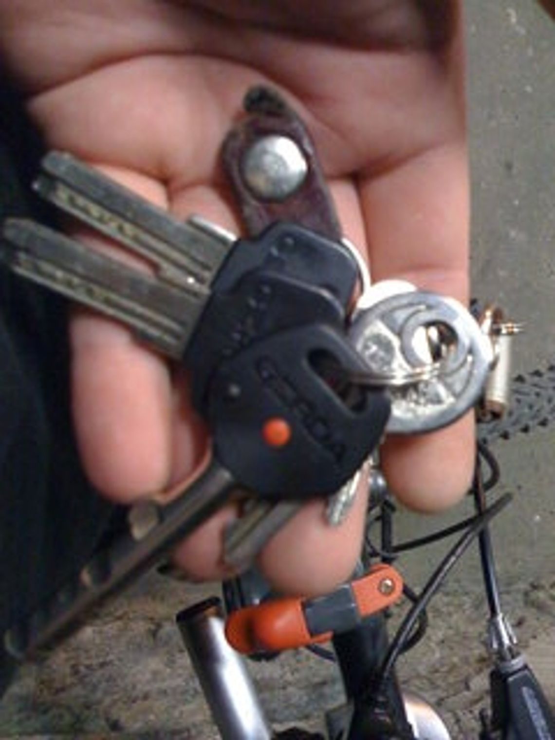 Co za łup! Co za łup!