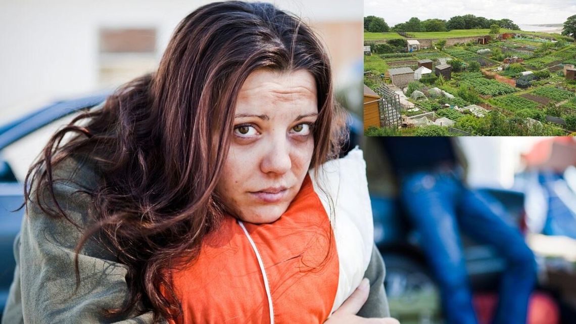 Ogródki działkowe to ich miejsce zamieszkania. Polski Związek Działkowców: to nielegalne