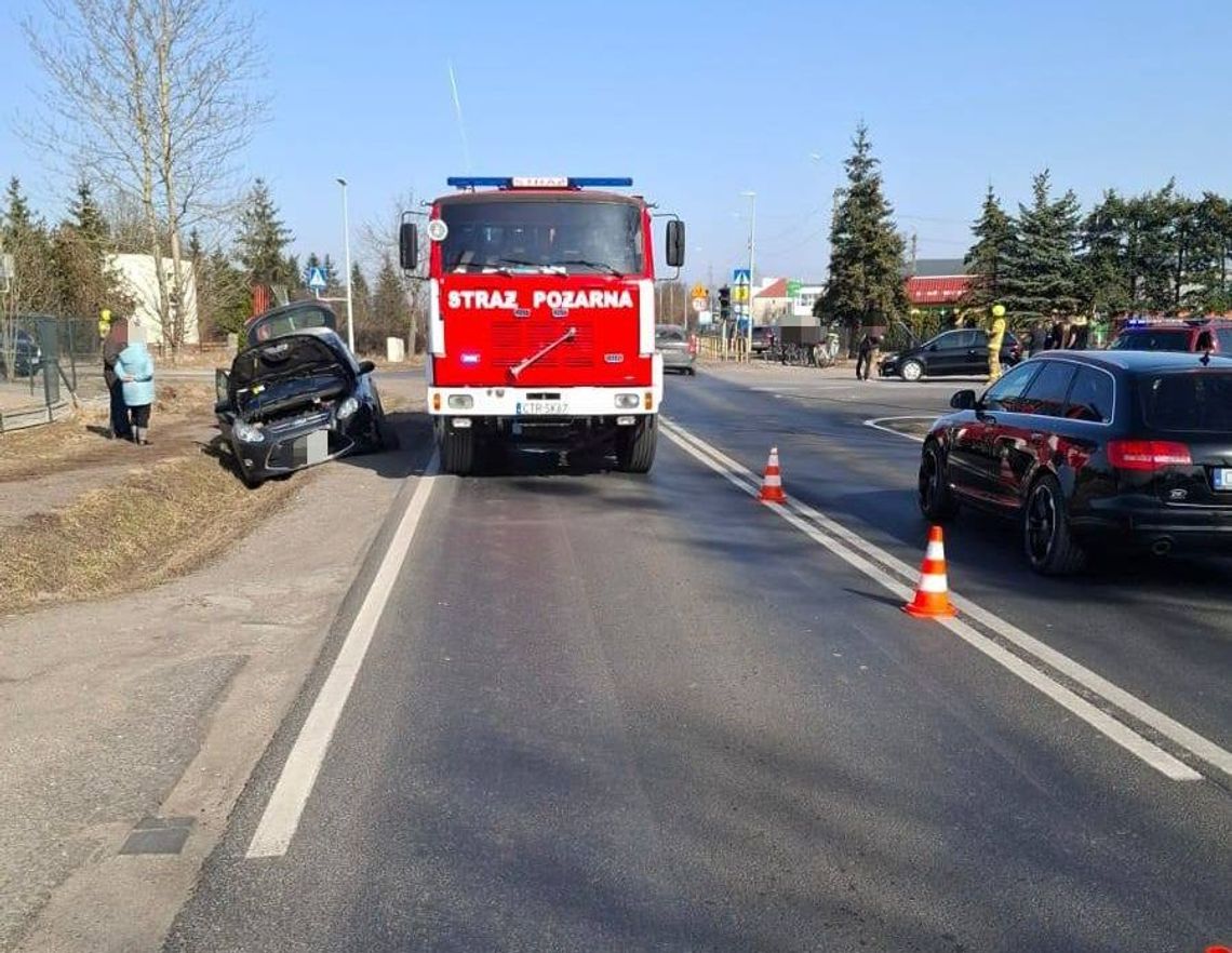 Czarny tydzień w powiecie gryfińskim. Od pożarów traw po dramatyczną akcję na lodzie
