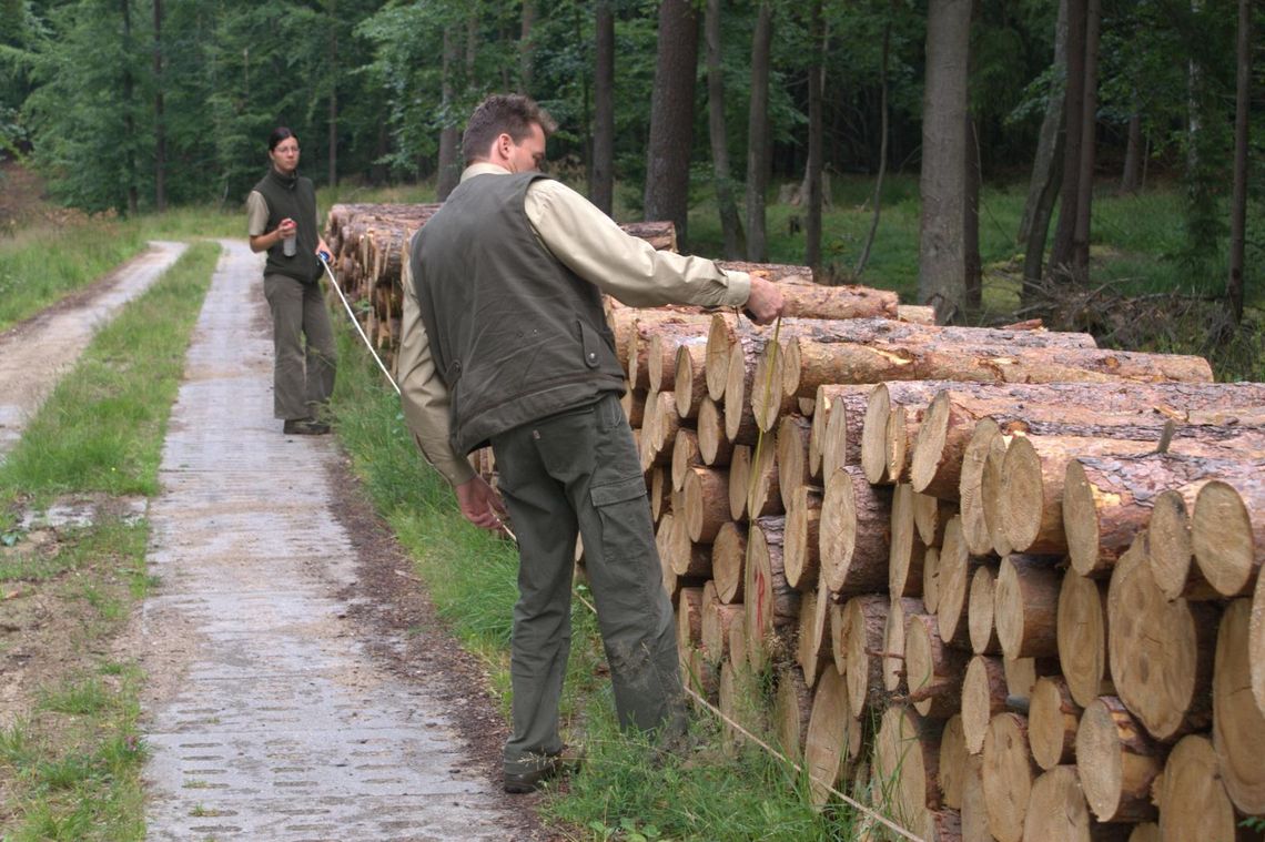 Nowe obostrzenia dla leśników. Absurdalnie brzmiące przepisy