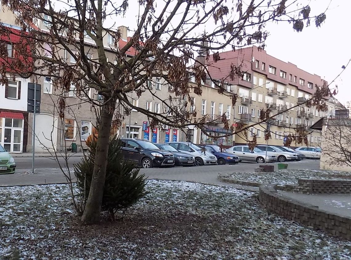 Czeka na swoją kolejną szansę? Czeka na swoją kolejną szansę?