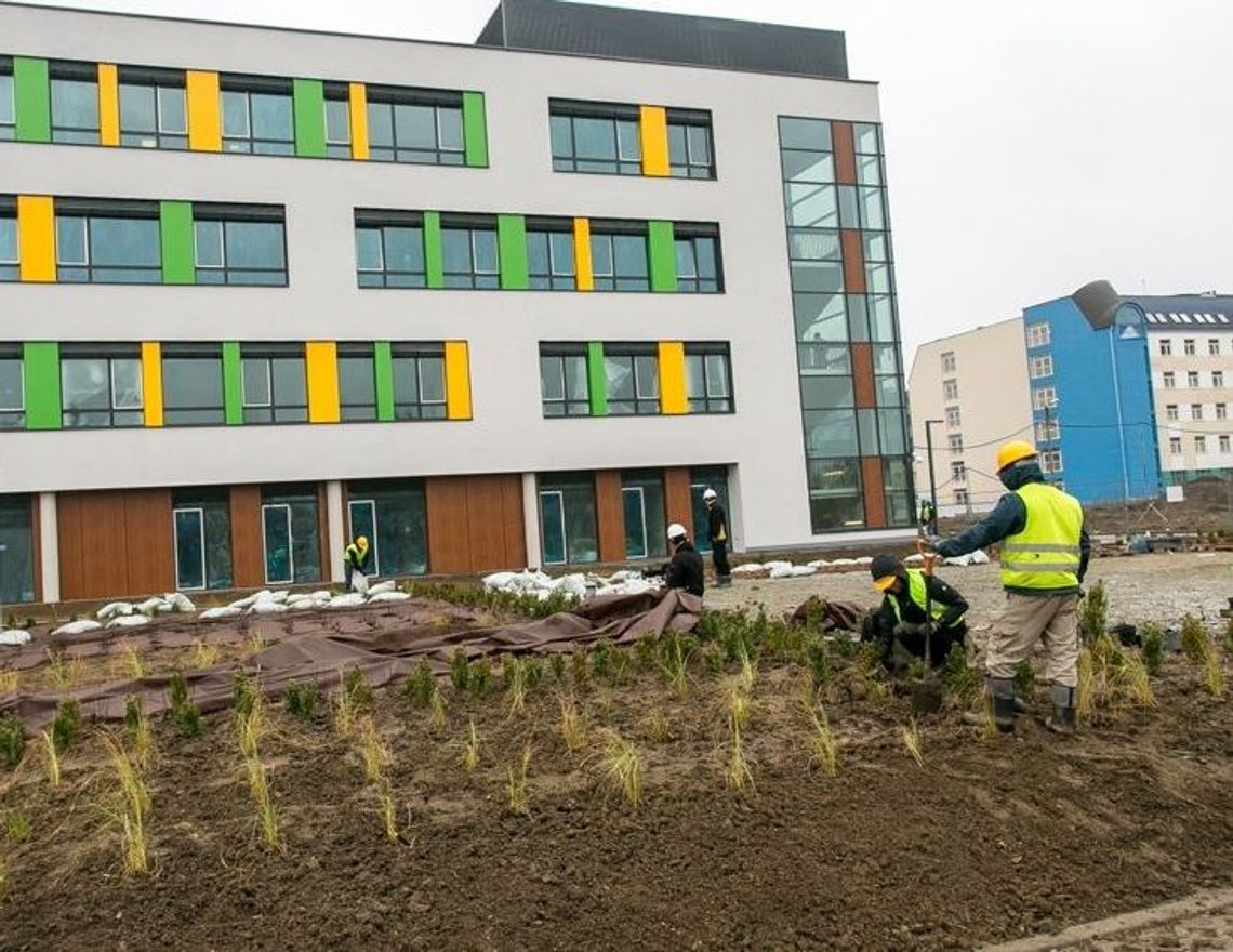 Czekać będzie na przeszczep w Przylądku Nadziei