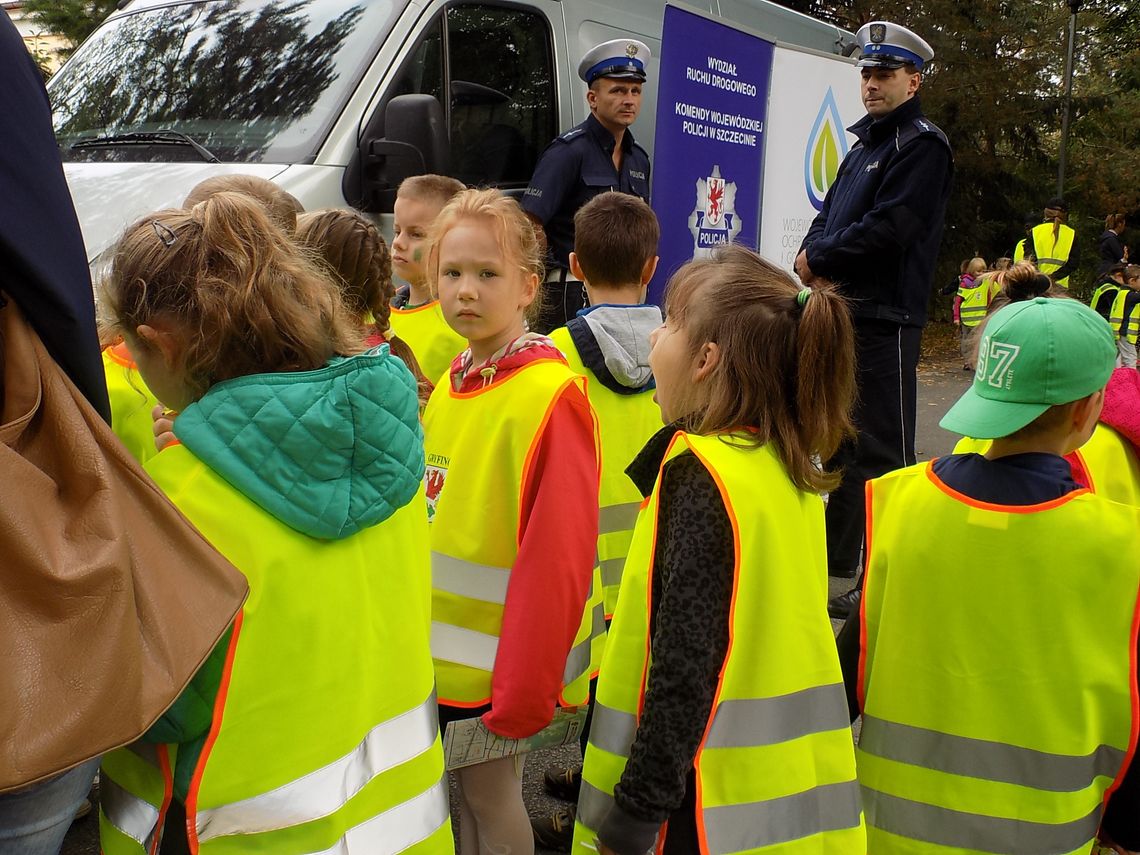 Czerwone – stój, zielone - idź Czerwone – stój, zielone - idź