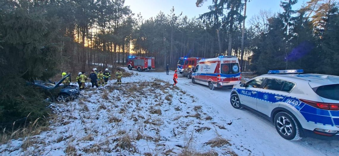 Czujność, która ratuje życie. Dramatyczna interwencja leśników Czujność, która ratuje życie. Dramatyczna interwencja leśników
