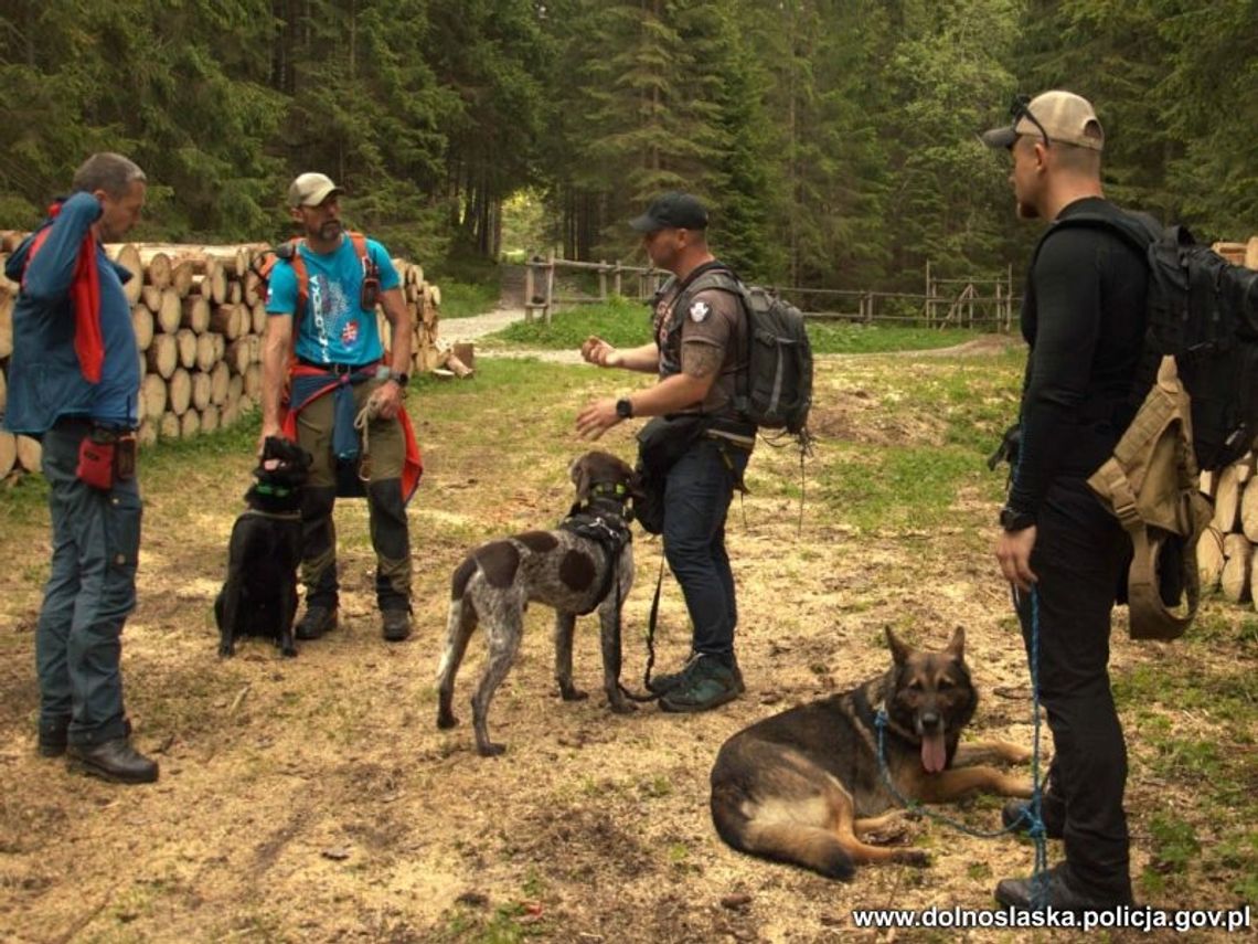 Czworonogi czują zapach nad wodą. Pojechali w góry