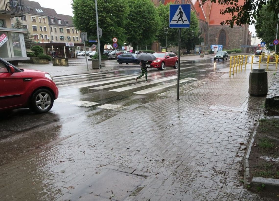 Czy kierowcy polowali na pieszych Czy kierowcy polowali na pieszych