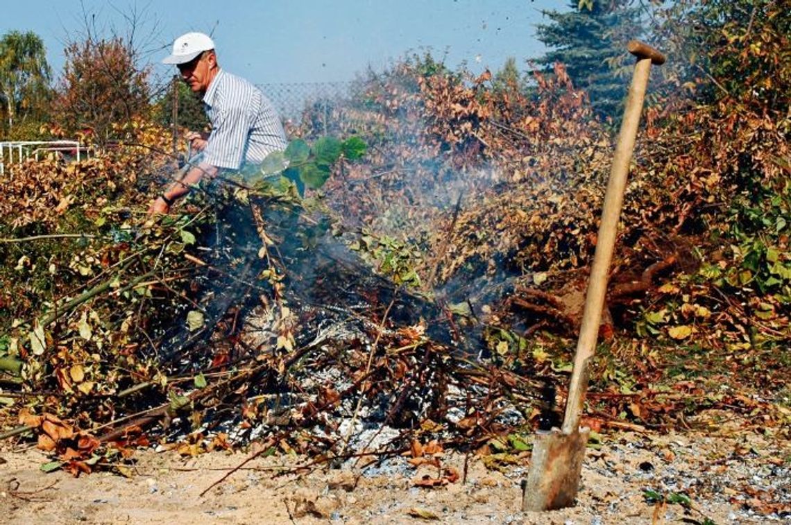 Czy można rozpalać ogniska na działkach Czy można rozpalać ogniska na działkach
