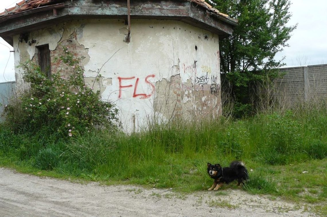 Czy stara przepompownia dostanie szansę na drugie życie?