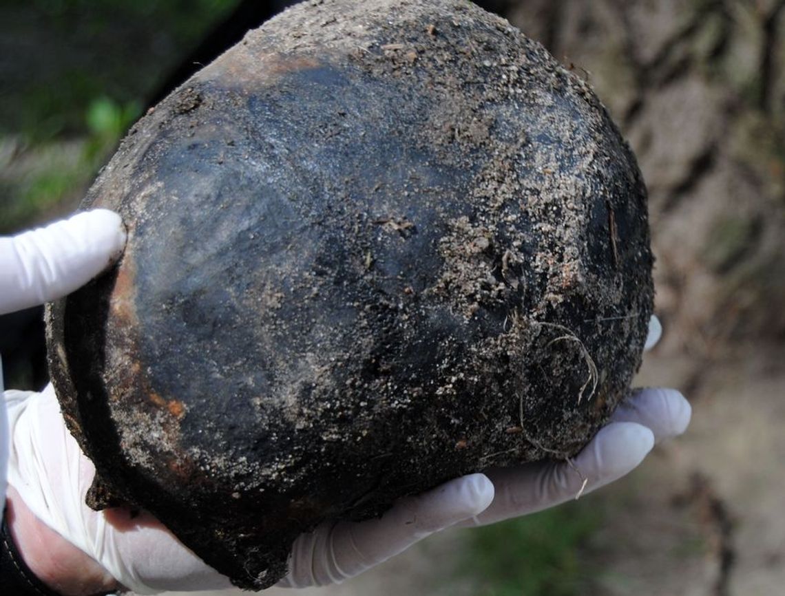 Czyja to czaszka Czyja to czaszka