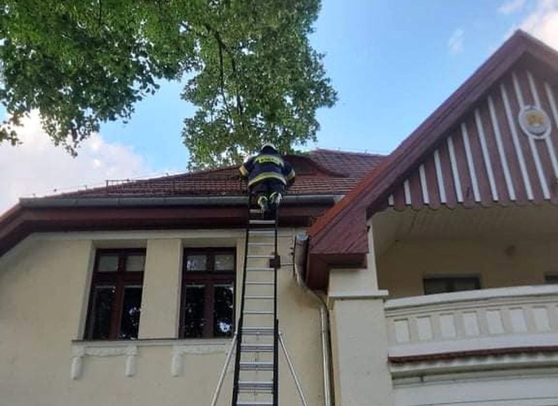 Czyścili rynny. Nie spodziewali się, że zostaną zaatakowani Czyścili rynny. Nie spodziewali się, że zostaną zaatakowani