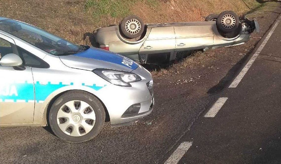Dachował po uderzeniu w zwierzynę Dachował po uderzeniu w zwierzynę