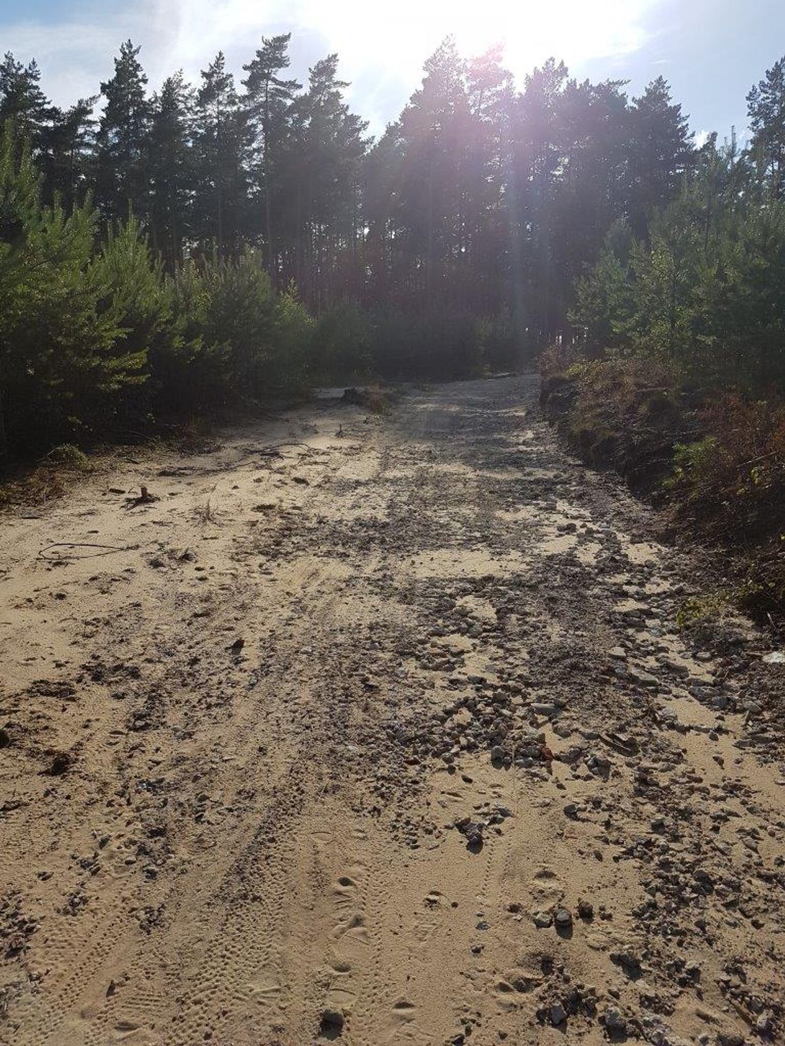 Deszcze odsłoniły faktyczny skład materiałów użytych do utwardzenia drogi w lesie - list czytelnika Deszcze odsłoniły faktyczny skład materiałów użytych do utwardzenia drogi w lesie - list czytelnika