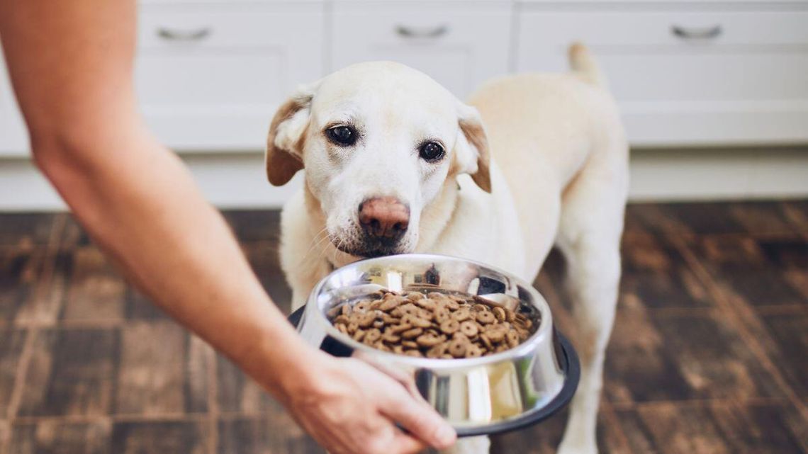 Diety pudełkowe mają się dobrze bo poszerzają bazę. Teraz modny jest catering dla psów