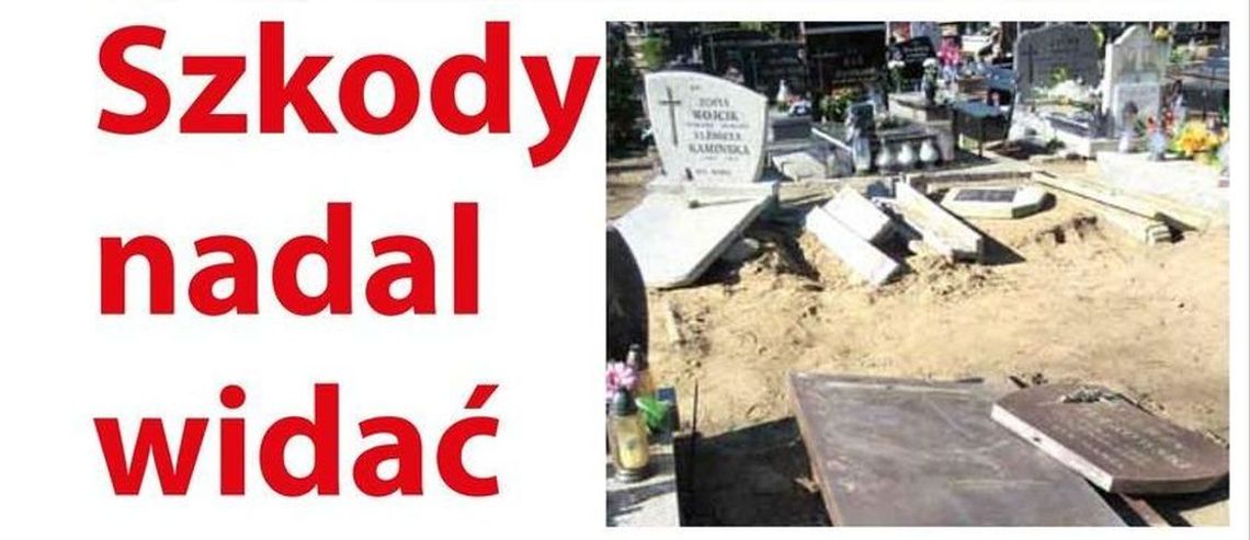 Dlaczego cmentarz wciąż jest nieuporządkowany Dlaczego cmentarz wciąż jest nieuporządkowany