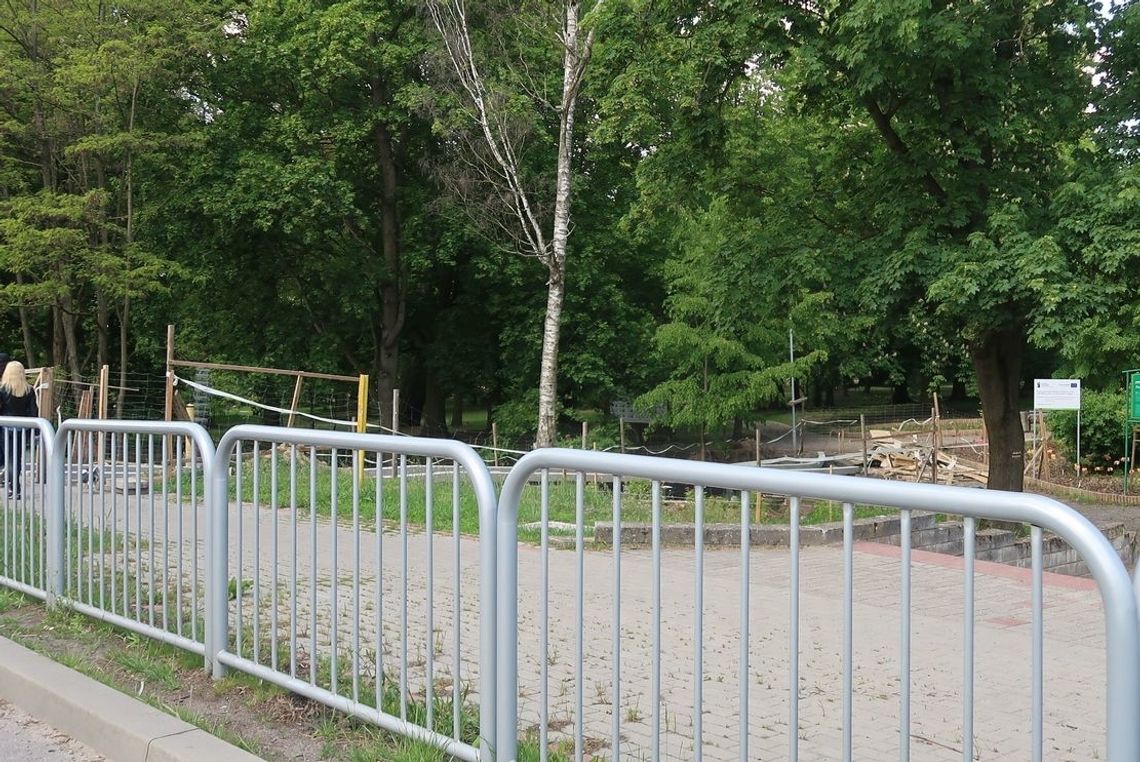 Dlaczego park jest zarośnięty? - pyta czytelnik Dlaczego park jest zarośnięty? - pyta czytelnik
