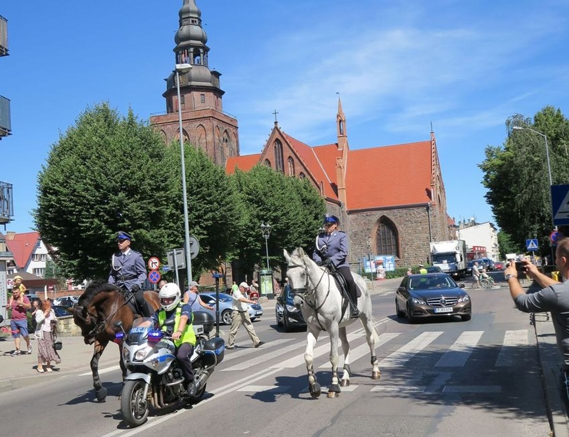 Dlaczego policyjny koń jest kary Dlaczego policyjny koń jest kary