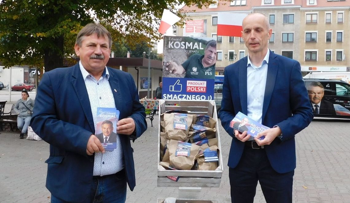 Dlaczego w Gryfinie rozdają ziemniaki?