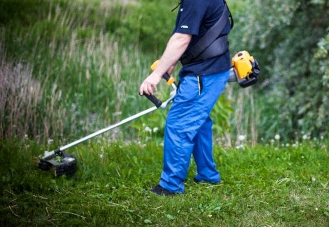 Dmuchnął dmuchawę Dmuchnął dmuchawę