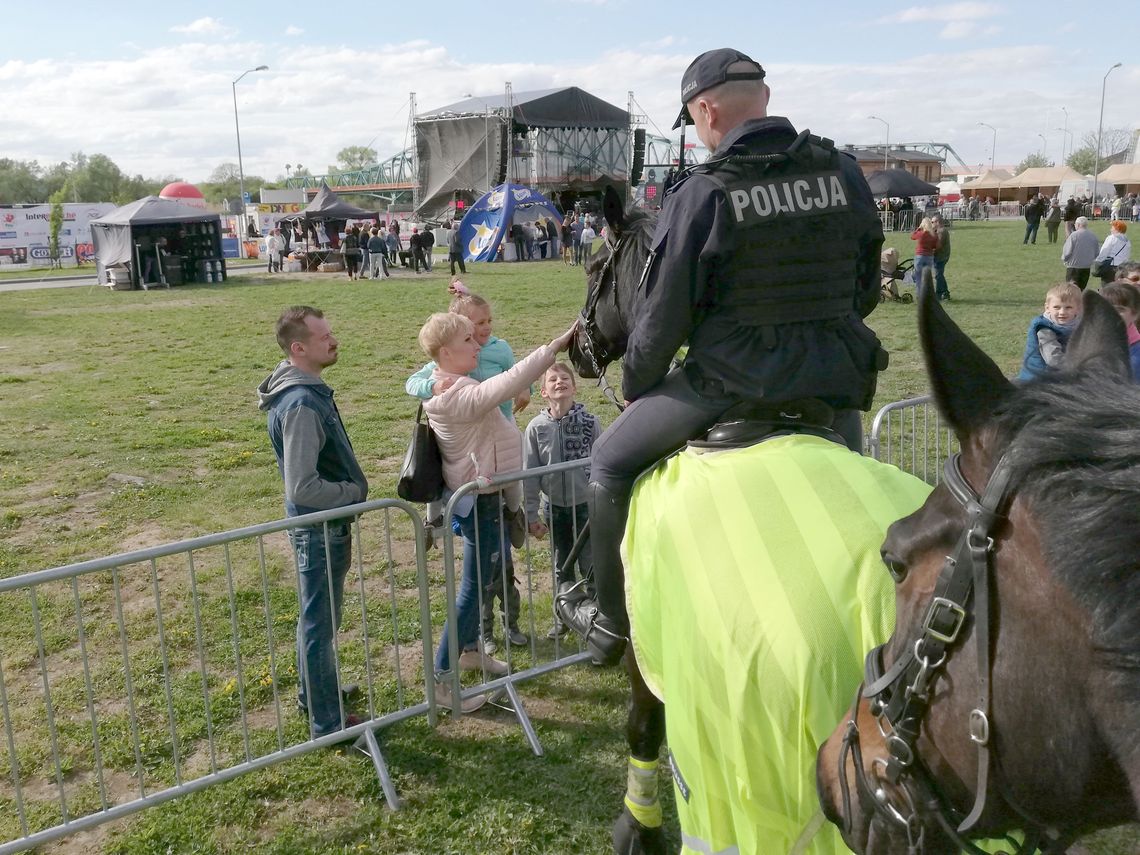 Dni Gryfina 2018 z udziałem policyjnych koni Karmela i Cynobra