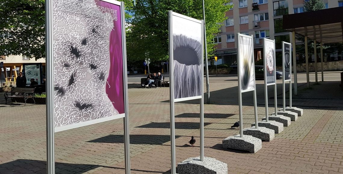 Do czytania i oglądania