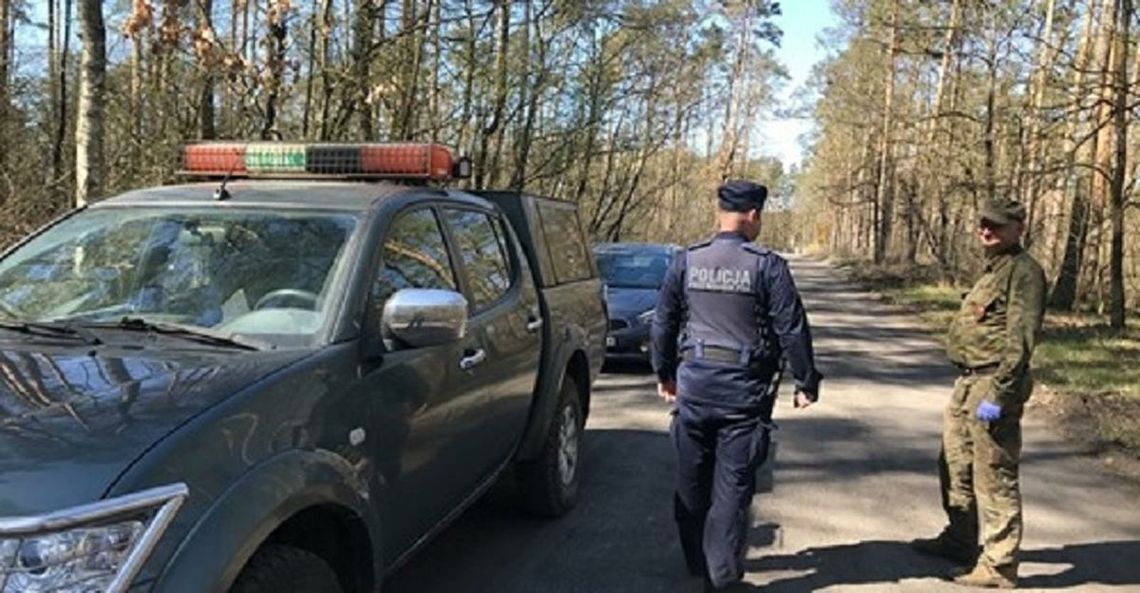 Do lasu wrócili złodzieje. Kradną drewno opałowe, bo nie ma węgla Do lasu wrócili złodzieje. Kradną drewno opałowe, bo nie ma węgla